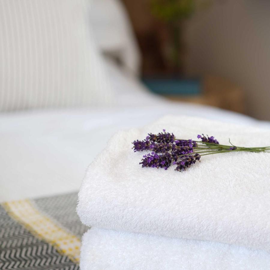 Bed and Breakfast Bird & Carter Fonthill Fonthill Bishop Екстер'єр фото
